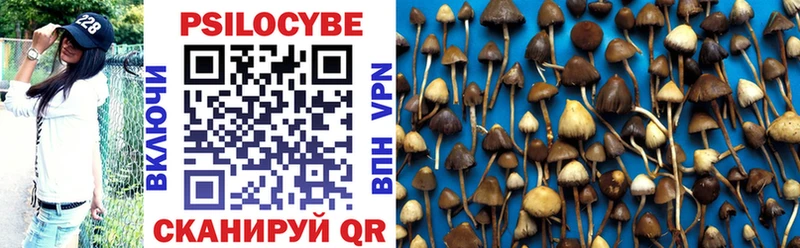 Псилоцибиновые грибы MAGIC MUSHROOMS  магазин продажи наркотиков  Шадринск 