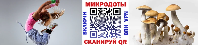 Галлюциногенные грибы мухоморы Шадринск